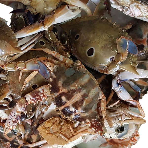 Crab