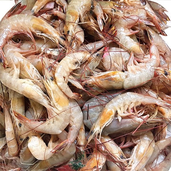 Prawns