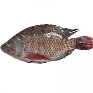 Karimeen