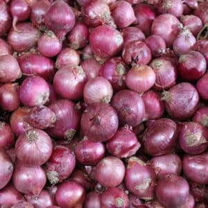 Onion