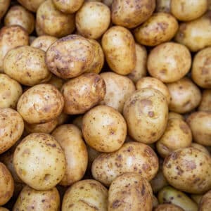 Potato